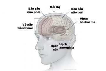 Rối loạn lo âu trầm cảm ảnh hưởng nghiêm trọng đến não