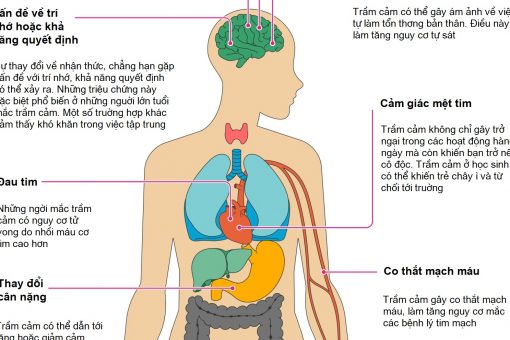 Điều gì xảy ra với cơ thể khi bị trầm cảm? Điều gì xảy ra với cơ thể khi bị trầm cảm?
