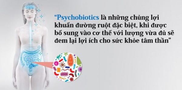 Psychobiotic là những chủng lợi khuẩn có tác động tích cực trên tâm thần