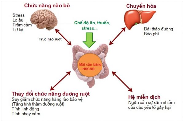 Tại sao hệ khuẩn chí đường ruột lại quan trọng? 1 Tại sao hệ khuẩn chí đường ruột lại quan trọng? 1