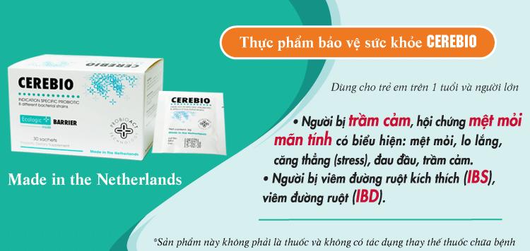 Nguyen Nhan Va Dấu Hiệu Nhận Biết Suy Nhược Thần Kinh Sở Y Tế Nam định