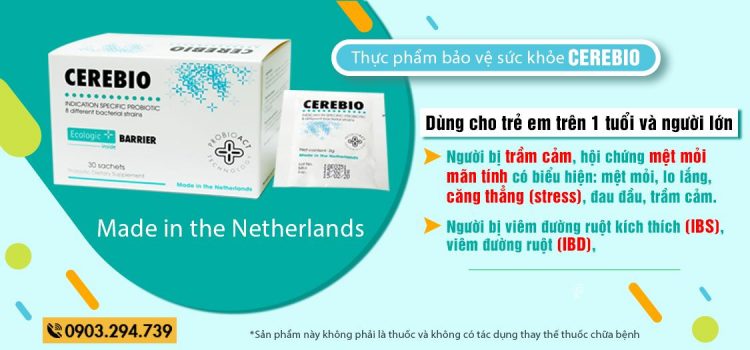 liệu pháp tự nhiên cải thiện trầm cảm liệu pháp tự nhiên cải thiện trầm cảm