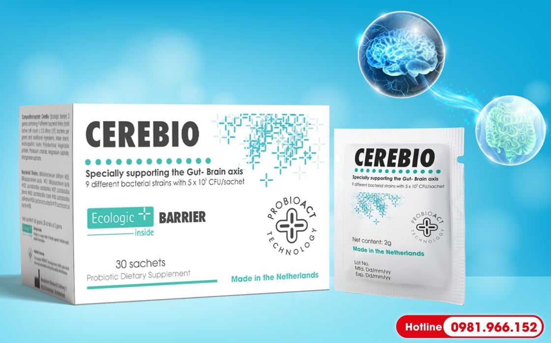 Men vi sinh - liệu pháp tiềm năng cho người bị lo âu, trầm cảm - Ảnh 2.